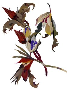 不明な画像 作： Unbekannt Unbekannt